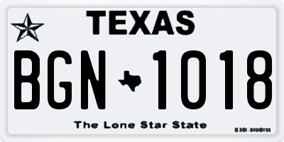 TX license plate BGN1018