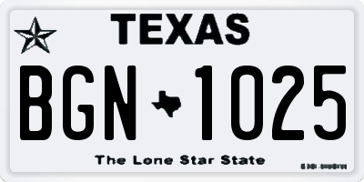 TX license plate BGN1025