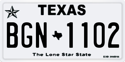 TX license plate BGN1102
