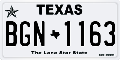TX license plate BGN1163