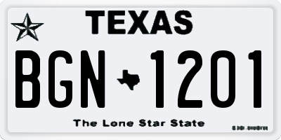 TX license plate BGN1201