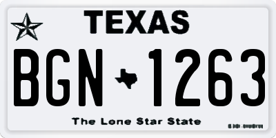 TX license plate BGN1263