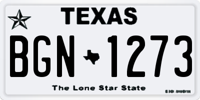 TX license plate BGN1273