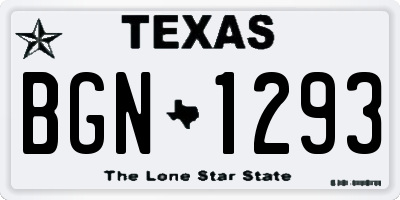 TX license plate BGN1293
