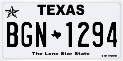TX license plate BGN1294