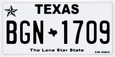 TX license plate BGN1709