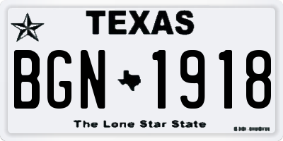 TX license plate BGN1918