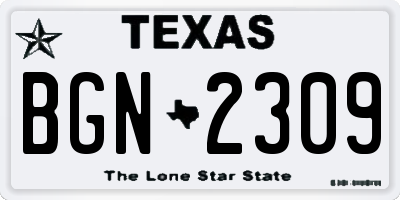 TX license plate BGN2309