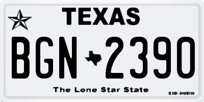 TX license plate BGN2390