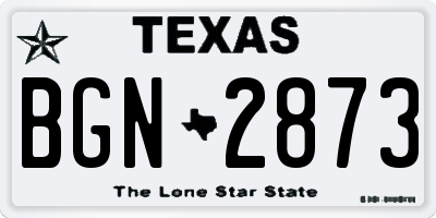 TX license plate BGN2873