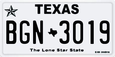 TX license plate BGN3019