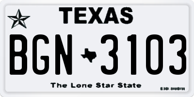 TX license plate BGN3103