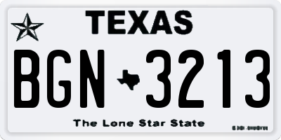 TX license plate BGN3213