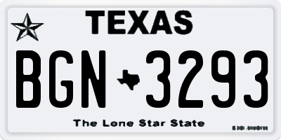 TX license plate BGN3293