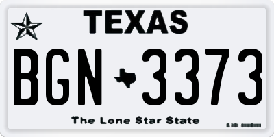 TX license plate BGN3373
