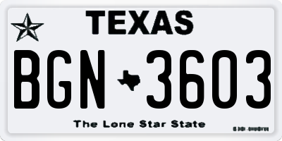 TX license plate BGN3603