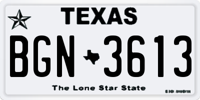 TX license plate BGN3613