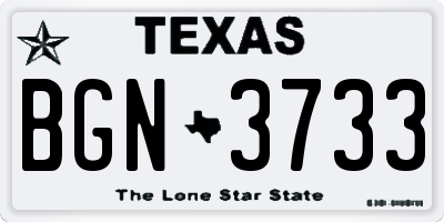 TX license plate BGN3733