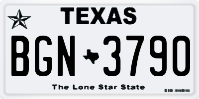 TX license plate BGN3790