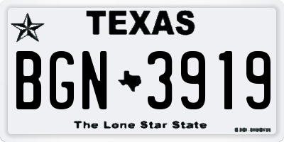 TX license plate BGN3919