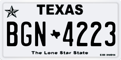 TX license plate BGN4223