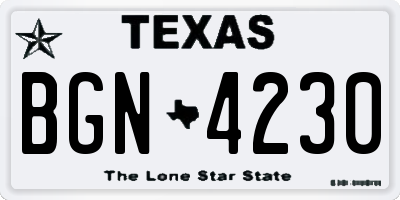 TX license plate BGN4230