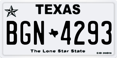 TX license plate BGN4293