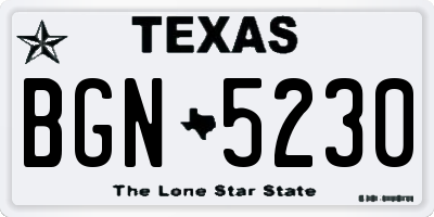 TX license plate BGN5230