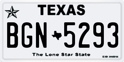 TX license plate BGN5293