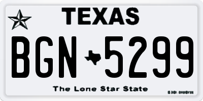 TX license plate BGN5299