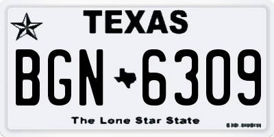 TX license plate BGN6309