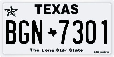 TX license plate BGN7301