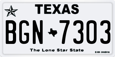 TX license plate BGN7303