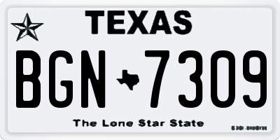 TX license plate BGN7309