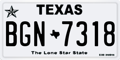 TX license plate BGN7318