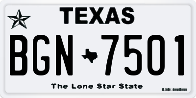TX license plate BGN7501