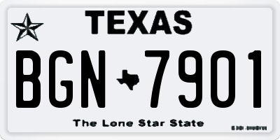 TX license plate BGN7901