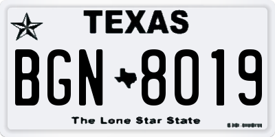 TX license plate BGN8019