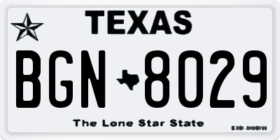 TX license plate BGN8029