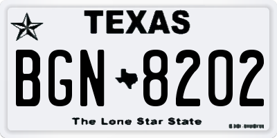 TX license plate BGN8202