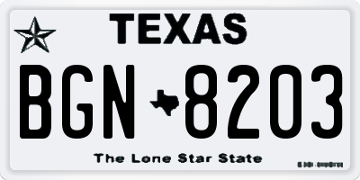 TX license plate BGN8203