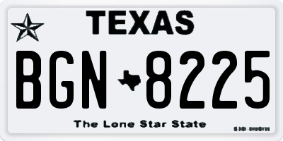 TX license plate BGN8225