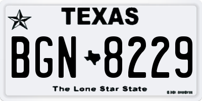 TX license plate BGN8229