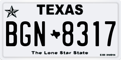 TX license plate BGN8317