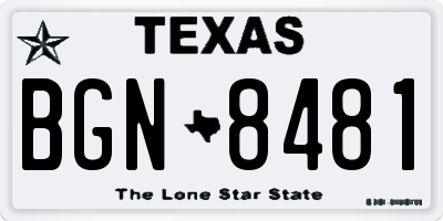 TX license plate BGN8481