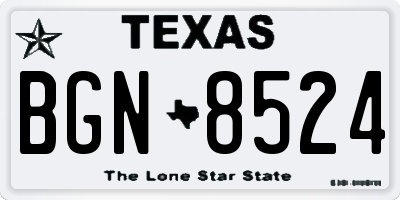 TX license plate BGN8524
