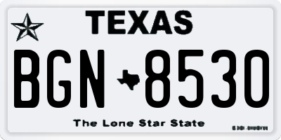 TX license plate BGN8530