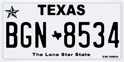 TX license plate BGN8534