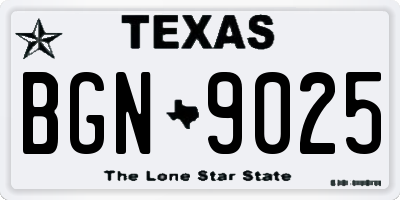 TX license plate BGN9025