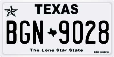 TX license plate BGN9028